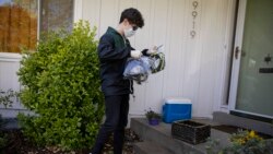 High school junior, Will Olsen, 17, of Kensington, Md., picks up bags holding pieces for medical face shields that were printed using personal 3D printers, in Kensington, Md., Sunday, April 19, 2020. He then delivered the bags to the Eaton Hotel in downto