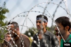 Confusion rampant among migrants who got to the Hungarian border from Serbia, only to find a four-meter-high fence blocking their way, Sept. 15, 2015. (A. Tanzeem/VOA)