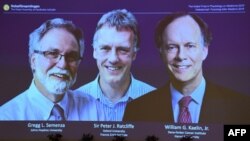 Trojica dobitnika Nobelove nagrade za medicinu za 2019. godinu na ekranu u Stkholmu, na kojoj je saopšteno da su nagrađeni (Foto: AFP)