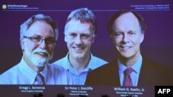 Trio win nobel price 