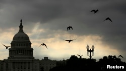 Birds fly past the U.S. Capitol as the sun rises in Washington, D.C., Sept. 9, 2013. 