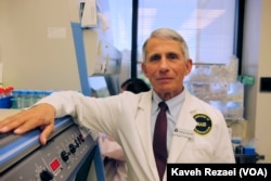 Dr. Anthony Fauci leads the U.S. National Institute of Allergy and Infectious Diseases.