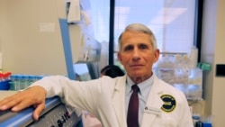 Dr. Anthony Fauci, Director of the National Institute of Allergy and Infectious Diseases