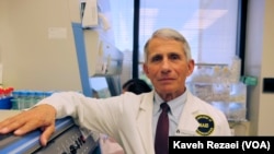 Dr. Anthony Fauci, Director of the National Institute of Allergy and Infectious Diseases