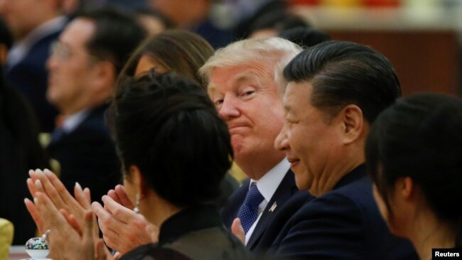资料照:美国总统特朗普和中国国家主席习近平在北京人民大会堂出席国宴。 (2017年11月9日)