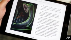 FILE - Text and an illustration from "Harry Potter and the Chamber of Secrets" are displayed on an iPad, Sept. 30, 2015, in New York. U.S. Internet connection speeds have tripled over 3-1/2 years to keep up with consumer demands for streaming video and downloading content but the United States still lags many other countries.