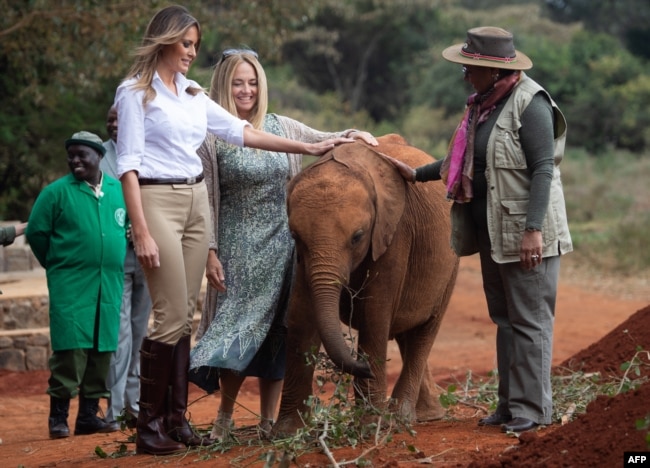 U.S. first lady Melania Trump (L) and first lady of Kenya Margaret Kenyatta (R) pet a baby elephant at The David Sheldrick Elephant Orphanage in Nairobi, October 5, 2018.