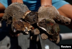 A farmer holds oysters grown at a floating farm in Tuaran, Sabah, Malaysia, July 8, 2018.