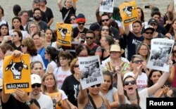 NGO and animal protection activists attend a protest against the export of live animals, in the port of Santos, Brazil, Feb. 4, 2018.