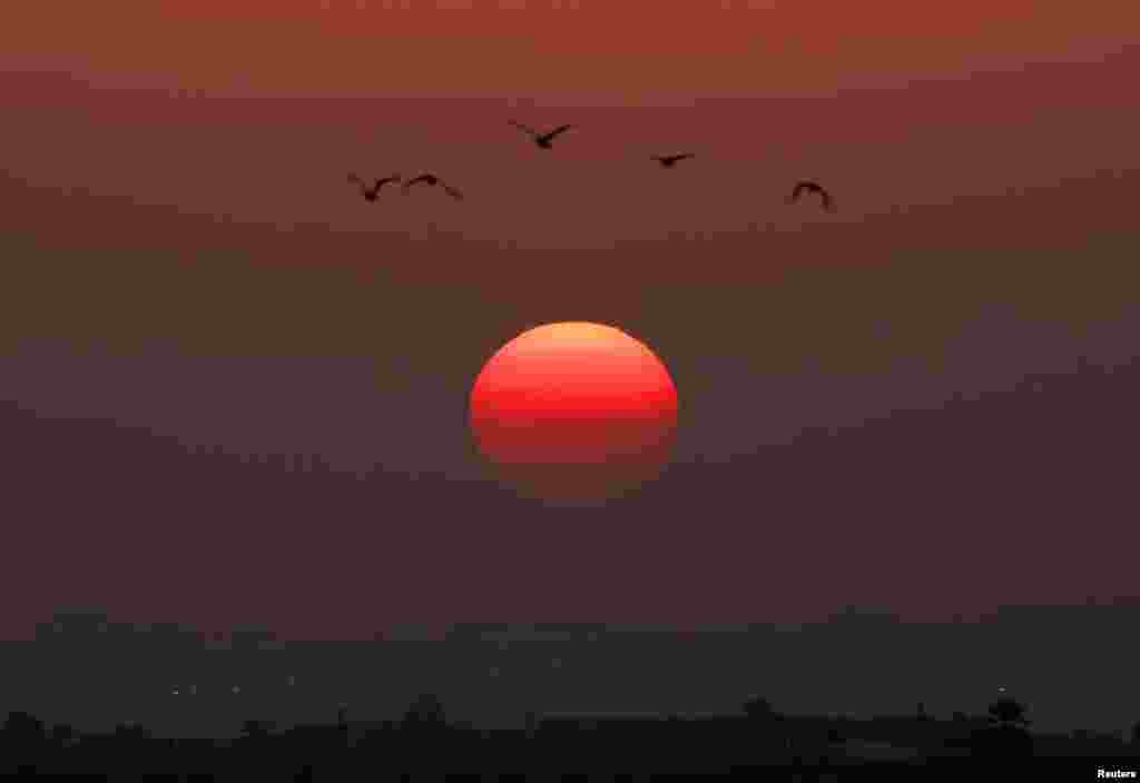 Birds fly as the sun sets over the northern Gaza Strip November 20