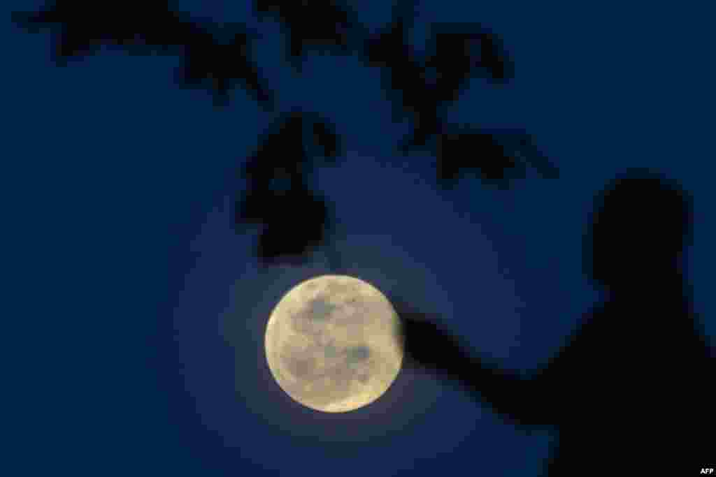 A man looks at the full moon at the Conservation Response Unit (CRU) in Aceh province, Indonesia.