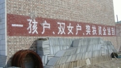 中国政府鼓励生育政策未见成效，人口连续四年下跌