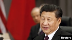 Xi Jinping, Presidente chinês