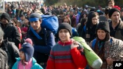 هزاران پناهجو در ماههای اخیر به سوی اروپا حرکت کرده اند