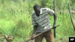 Henry Ladu plants crops on land he farms south of Juba in southern Sudan.