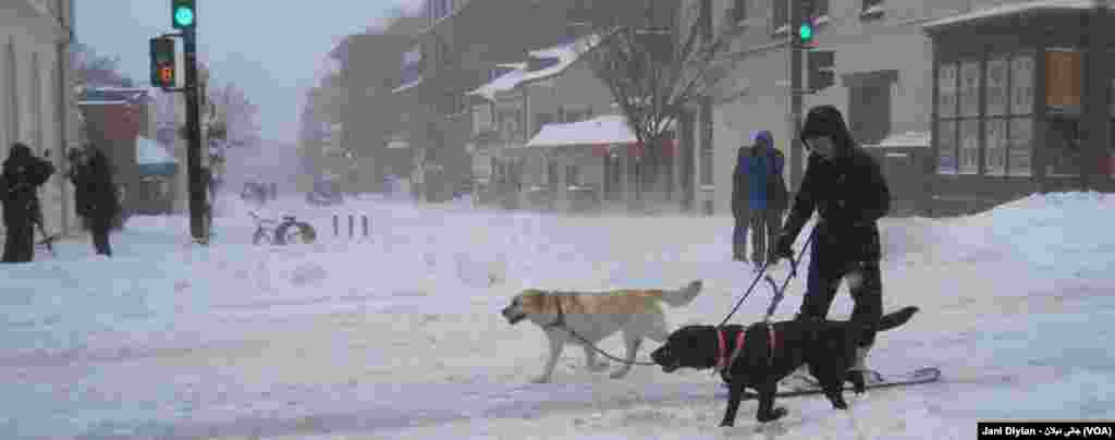 Washington DC Snow