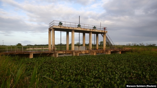 Floating plants are seen in an irrigation channel in Tucupita, Venezuela November 28, 2018.