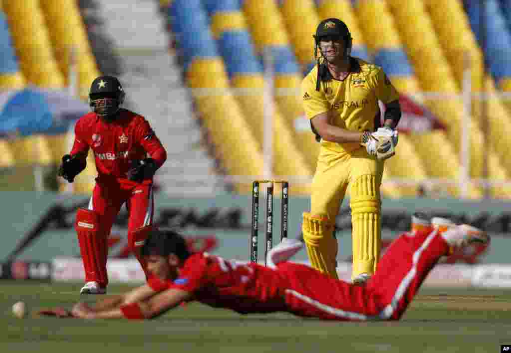 Zimbabwe's wicketkeeper Tatenda Taibu (L) and Australia's Cameron White (R) watch as bowler Graeme Cremer dives to field a ball during their ICC Cricket World Cup 2011 Group A match in Ahmedabad February 21, 2011. REUTERS/Amit Dave (INDIA)