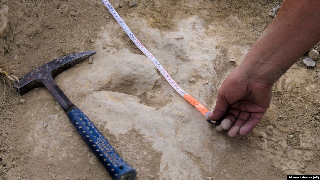 In this October 2020 photo provided by Alberto Labrador, a researcher measures a 120 million year-old fossilized dinosaur footprint the in the La Rioja region in northern Spain, while doing research about dinosaur running speeds. (Alberto Labrador via AP)