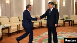 資料照:中國國家主席習近平在北京人大會堂會晤到訪的世界衛生組織總幹事譚德塞。(2020年1月28日)