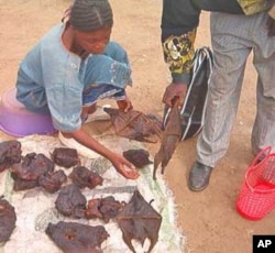 FILE - A vendor sells bats and other bushmeat in market outside Yaounde, Cameroon.