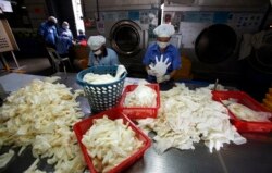 Pengujian kualitas produksi sarung tangan di pabrik Top Glove di Meru, luar Kuala Lumpur, Malaysia, 25 Juni 2009. (Foto: dok/REUTERS)