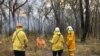 Petugas Pemadam Kebakaran New South Wales mengamati upaya pemadaman kebakaran hutan di dekat Picton, Australia, 22 Desember 2019. (Foto: dok).