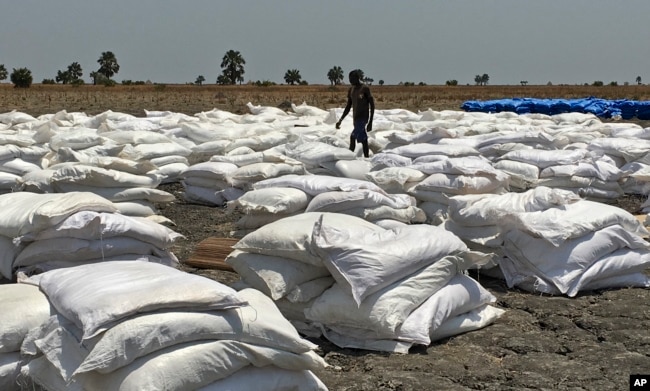 Bags of food dropped by air from a World Food Program plane are sorted in Padeah, South Sudan. South Sudanese who fled famine and fighting in Leer county emerged from South Sudan's swamps after months in hiding to receive food aid.