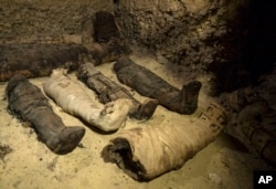 Mummies lie in a recently discovered burial chamber in the desert province of Minya, south of Cairo, Egypt, Saturday, Feb. 2, 2019.