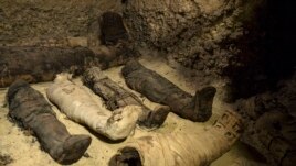 Mummies lie in a recently discovered burial chamber in the desert province of Minya, south of Cairo, Egypt, Saturday, Feb. 2, 2019.