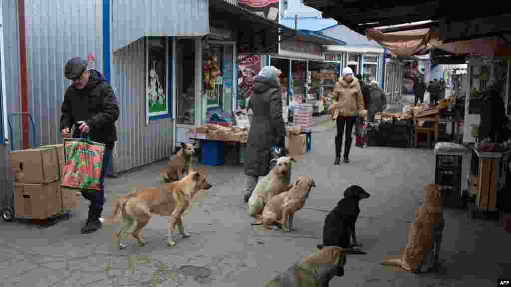 Donetsk a Ukraine, Nuwamba 17, 2014.