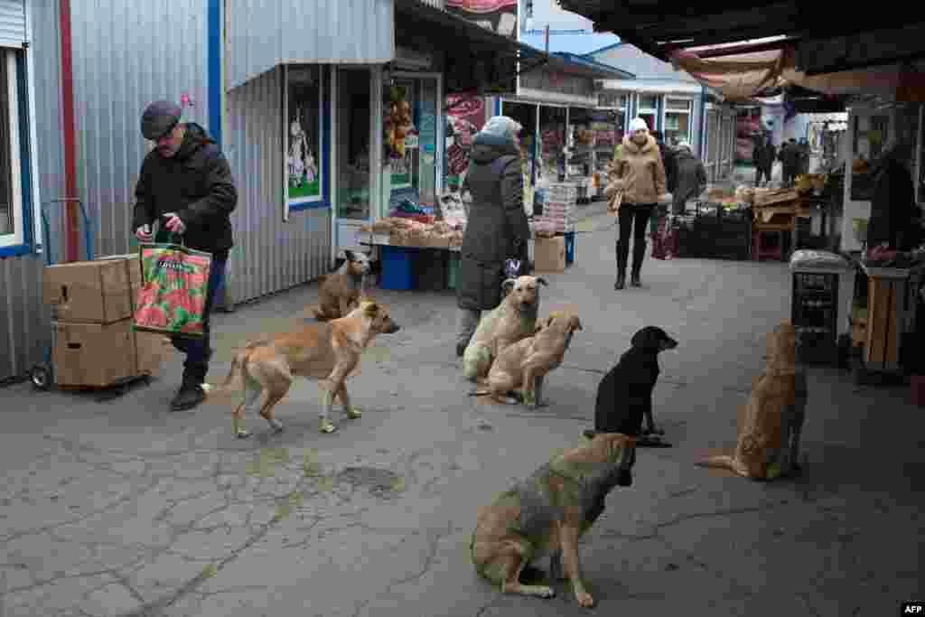 Warga di kota Donetsk, Ukraina timur berbelanja di pasar, sementara perang terus berkecamuk di wilayah itu.