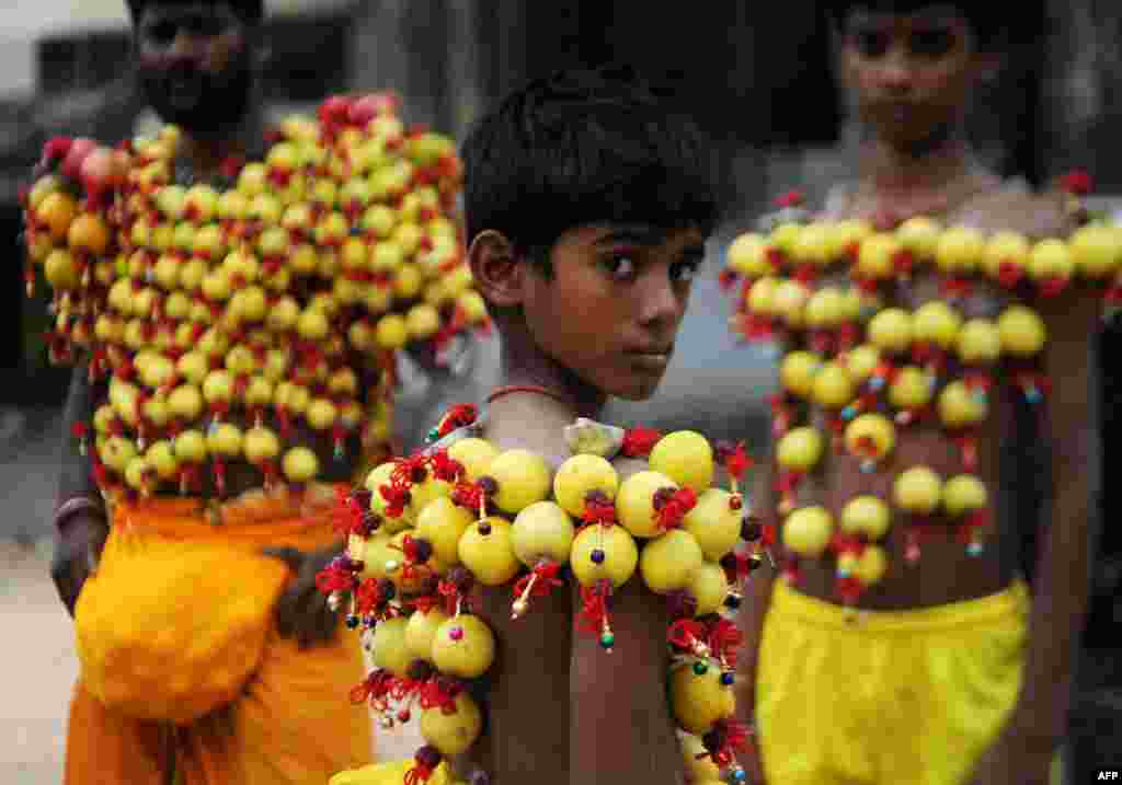 Young Indian Hindu devotees, their bodies pierced with lemon and paladai - bowl with a spout mainly used to feed milk to infants - wait to participate in a procession to mark Shivratri in Chennai.