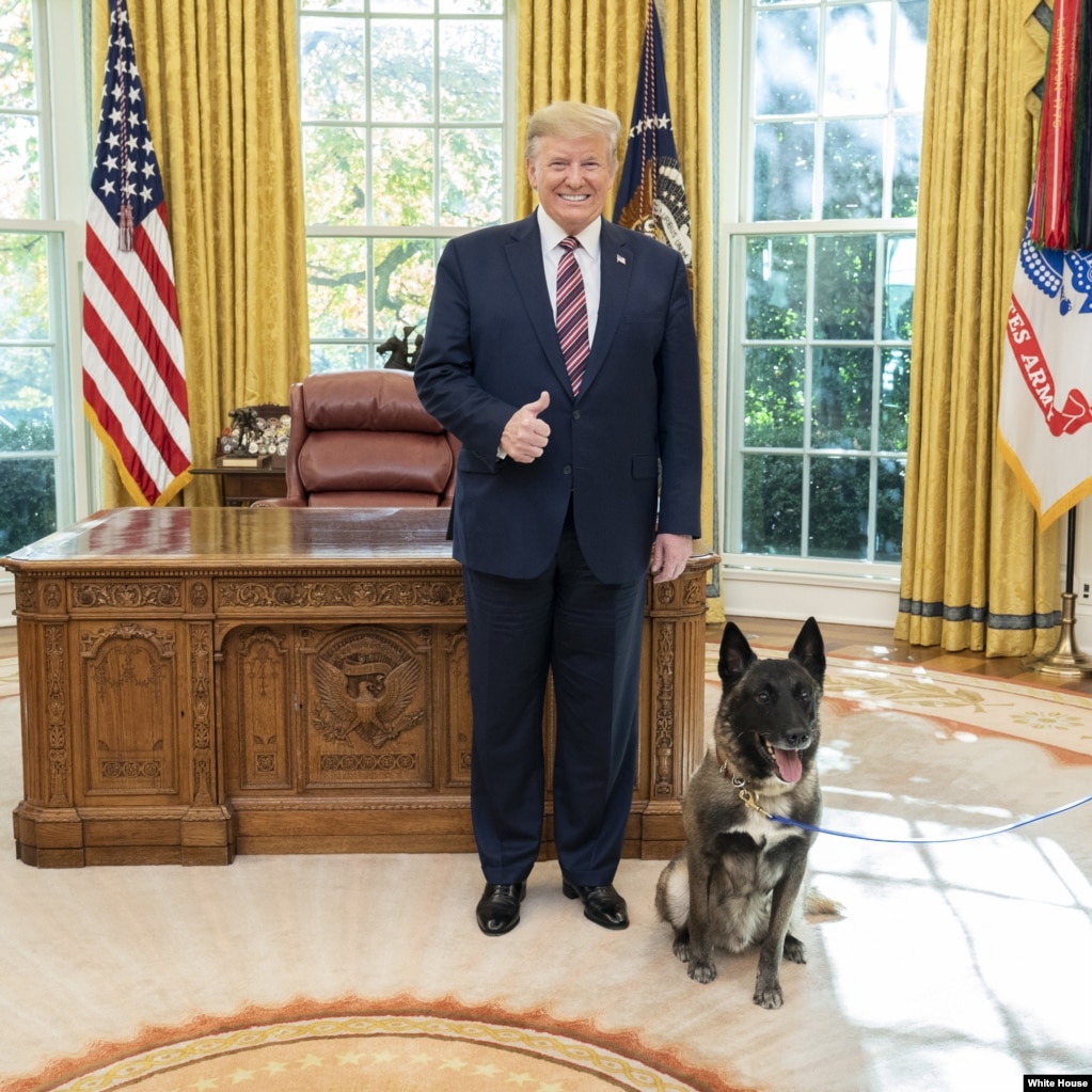 پرزیدنت ترامپ: کنن شاید در حال حاضر معروف‌ترین سگ دنیا باشد