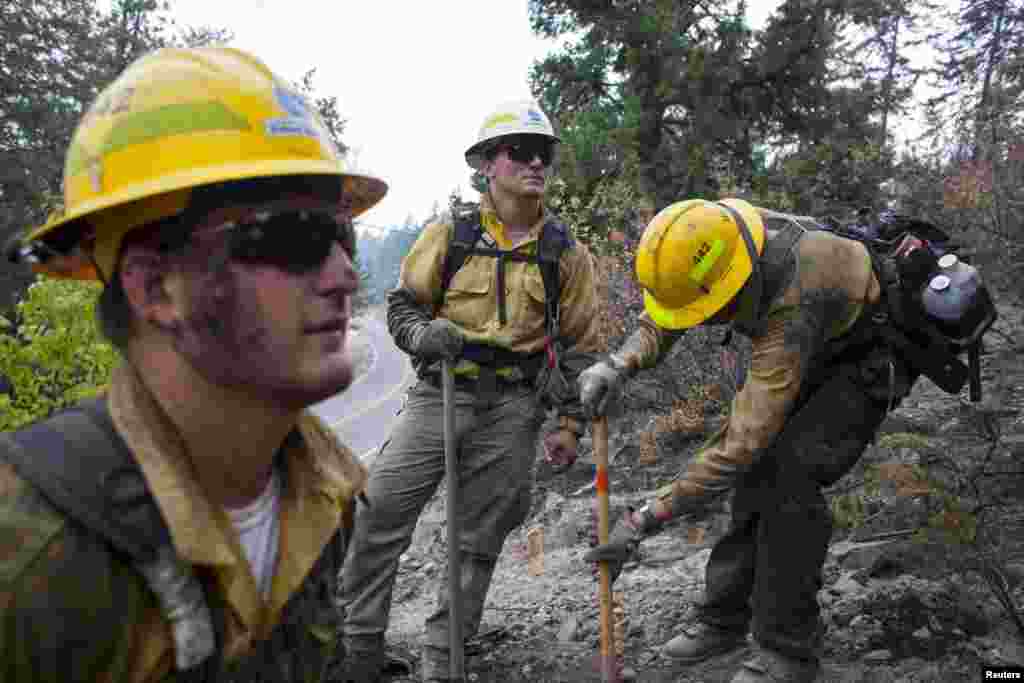 Firefighters extinguish hot spots by digging with hand tools in areas burned by the Chelan Complex fire in Chelan, Aug. 24, 2015.