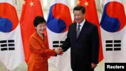 아시아태평양 경제협력체(APEC) 정상회의 참석 차 중국 베이징을 방문 중인 박근혜 한국 대통령(왼쪽)이 10일 인민대회장에서 시진핑 중국 국가주석과 정상회담을 가졌다.
