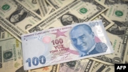 Turk lirasi amerikan dolar doviz
