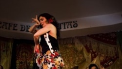 A Flamenco dancer