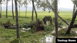 지난 29일 북한 평양시 순안 지구에서 15호 태풍 볼라벤으로 쓰러진 나무들을 치우는 주민들. 