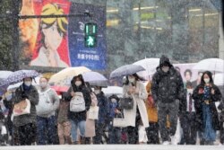 Persimpangan Shibuya di Tokyo, saat hujan salju di tengah pandemi COVID-19, Kamis, 6 Januari 2022.