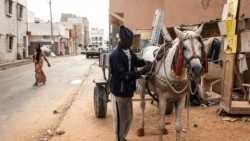 A Dakar, "l'As des évasions" s'échappe à nouveau d'une prison