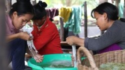 ការ​​កក់​ទិញ​នំបញ្ចុក​មាន​តម្លៃ​កើន​ឡើង ពេលមានការអំពាវនាវឲ្យហូបនំបញ្ចុកទូទាំងប្រទេស