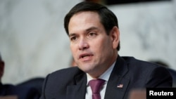 Senator Marco Rubio questions witnesses before the Senate Intelligence Committee hearing about "worldwide threats" on Capitol Hill in Washington, Jan. 29, 2019.