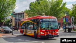 Salah satu bus kota di Washington DC (Circulator) yang menggunakan baterai listrik (foto: ilustrasi). 