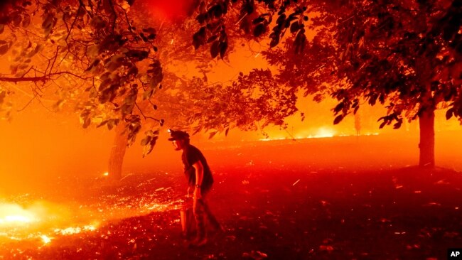 Một người dân California tìm cách dập lửa.