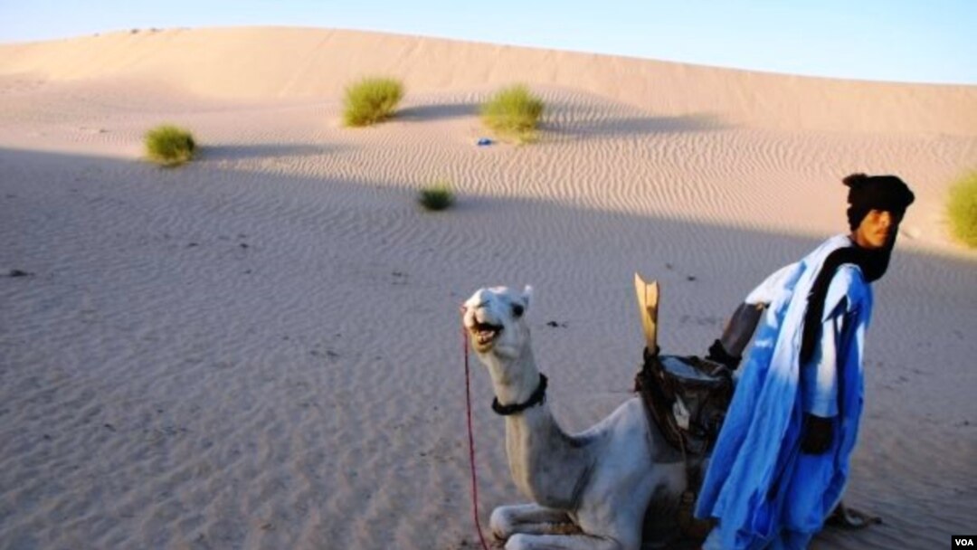 Moussa el Mouctar, an ethnic Tuareg from Timbuktu, with one of his camels, on the outskirts of Timbuktu, Mali, 2011-2012. (Douglas Post Park/Saharan Archaeological Research Association)