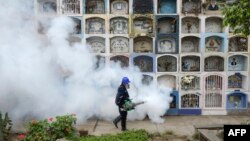 FILE - A specialist fumigates the Nueva Esperanza graveyard in the outskirts of Lima, Jan. 15, 2016. The Zika virus has quickly spread across South America and the Caribbean in recent weeks. 