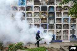 FILE - A specialist fumigates the Nueva Esperanza graveyard in the outskirts of Lima, Jan. 15, 2016. The Zika virus has quickly spread across South America and the Caribbean in recent weeks.