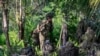 Liberan a más de 100 militares colombianos tras diálogo