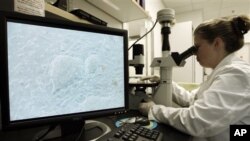 Η πρώτη θεραπεία με εμβρυικά πρωτογενή κύτταρα